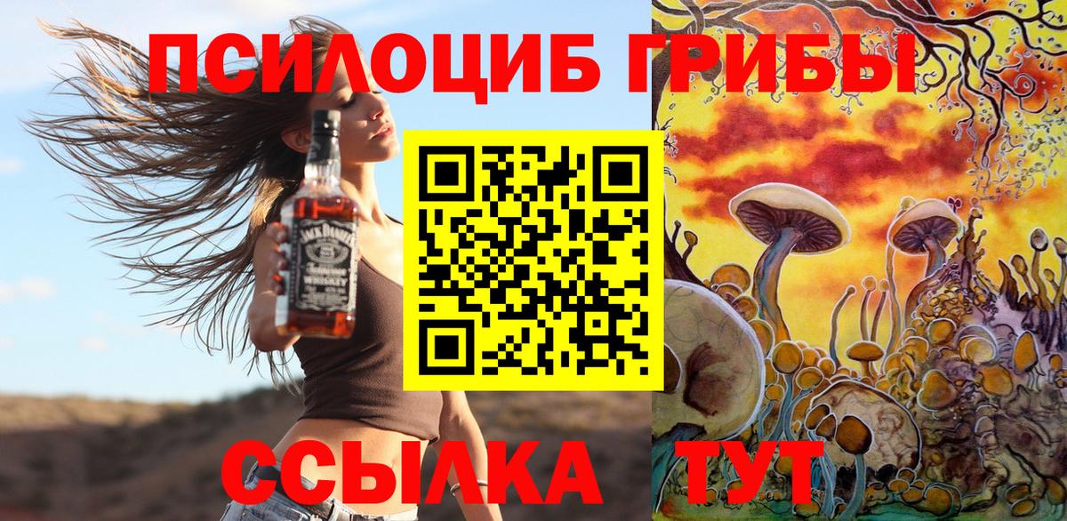 Первоуральск  Галлюциногенные грибы Cubensis  Вход с VPN 
