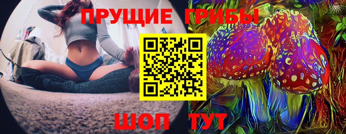 Галлюциногенные грибы Psilocybe Первоуральск